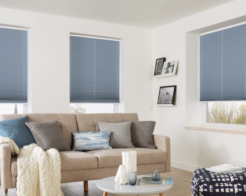Pleated Blinds 1